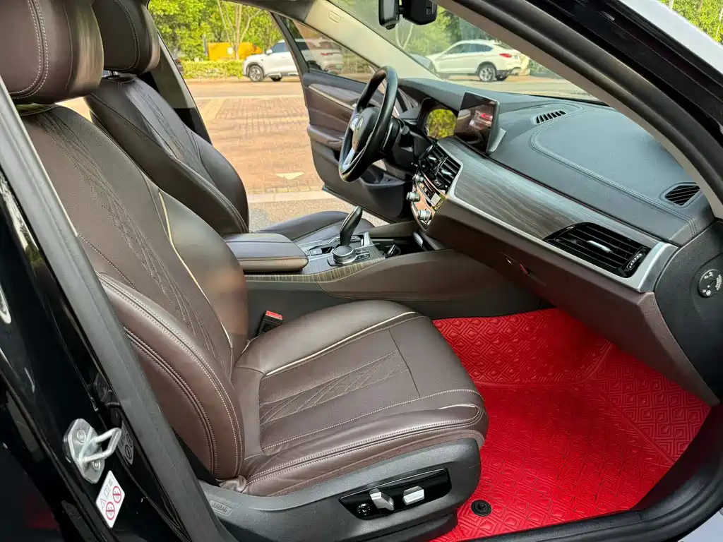 BMW 5 Series 5 2019 530Li Premium Luxury