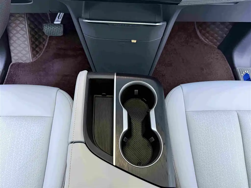 Buick GL8 — миниатюра 14