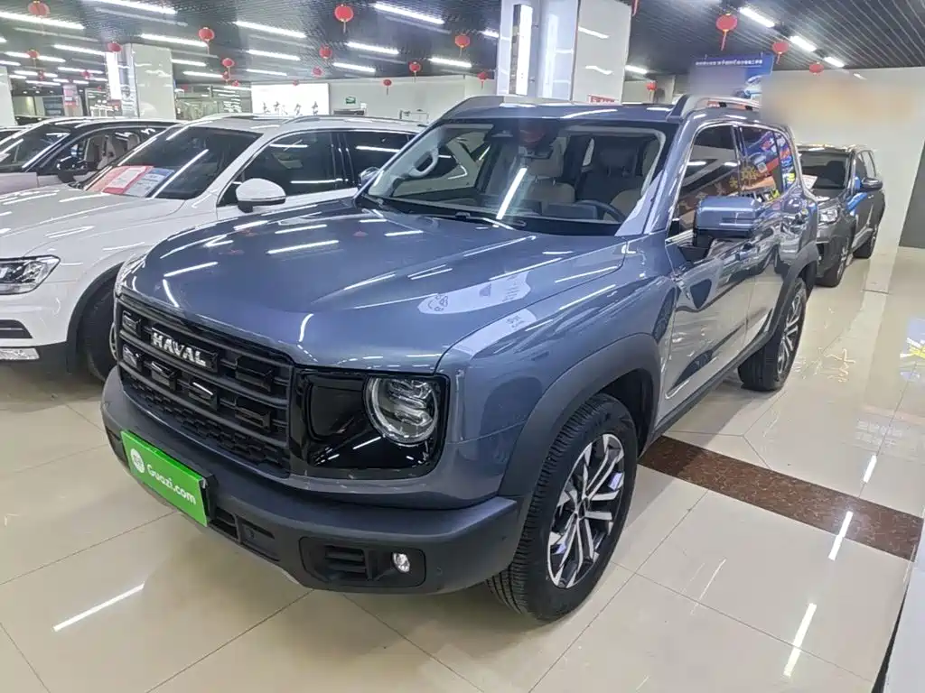 Haval 长城大狗 — миниатюра 2