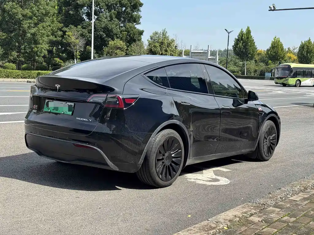 Tesla Model Y — миниатюра 6