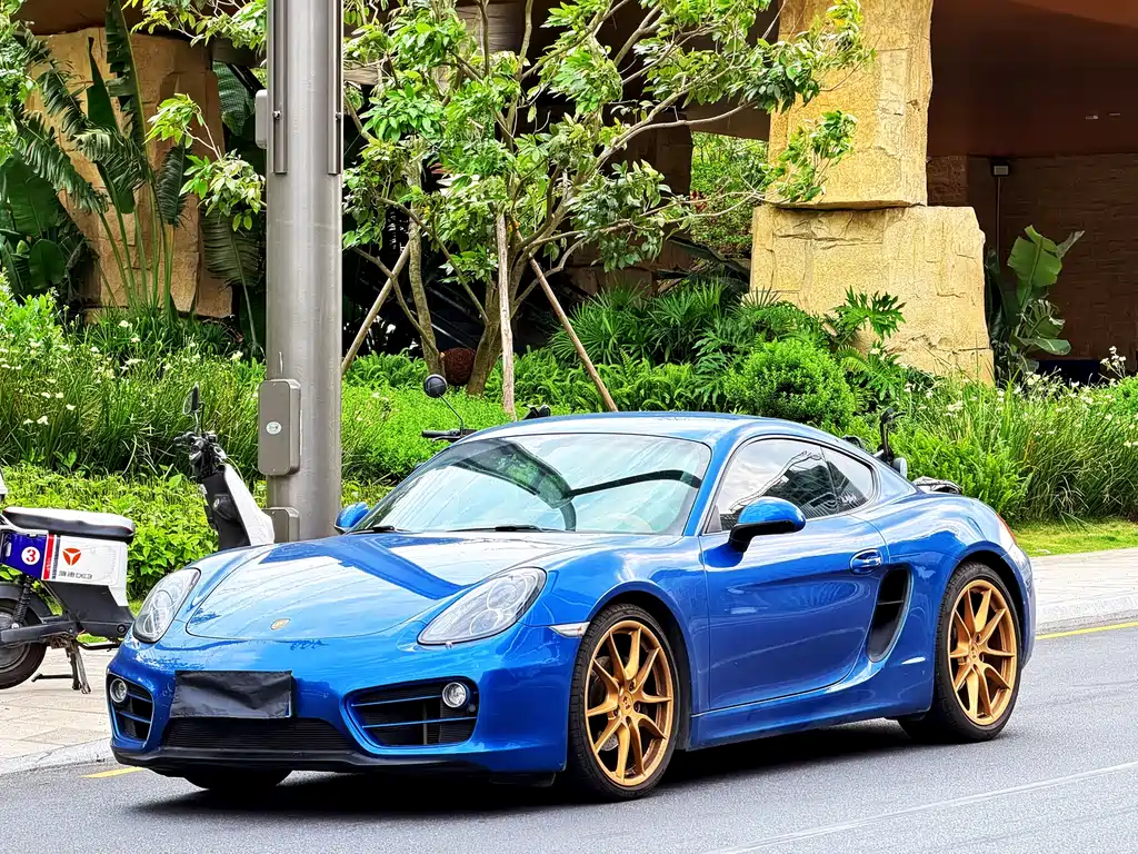 Porsche Cayman 2014
