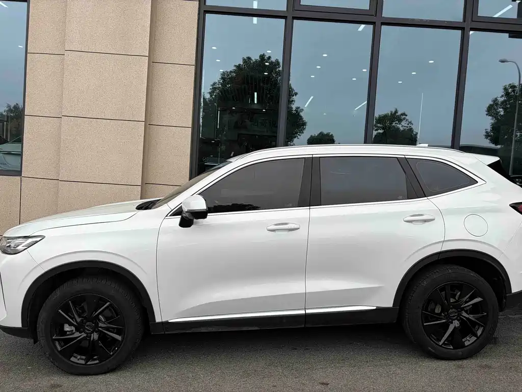 Haval H6 — миниатюра 3