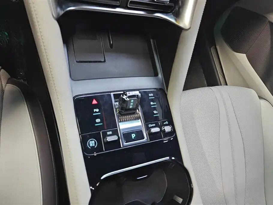 BYD SONGJIANG NEW ENERGY