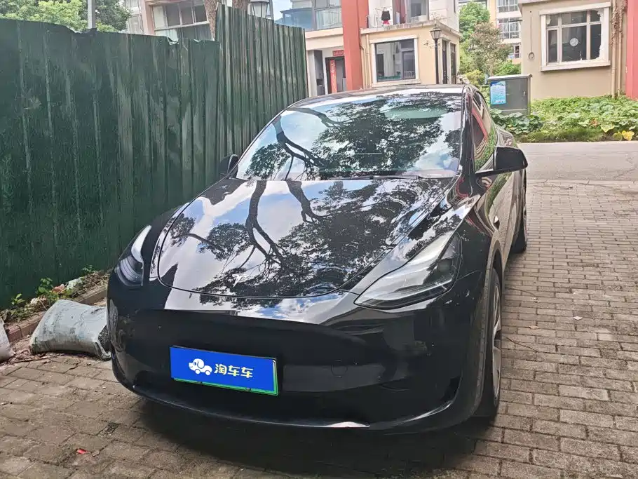 Tesla Model Y — миниатюра 2