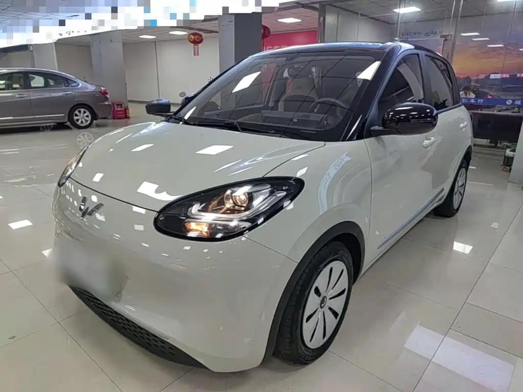 Wuling Bingo