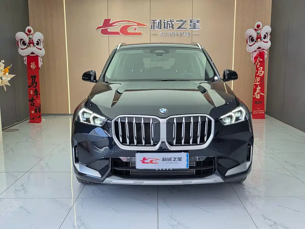 BMW X1 — миниатюра 2