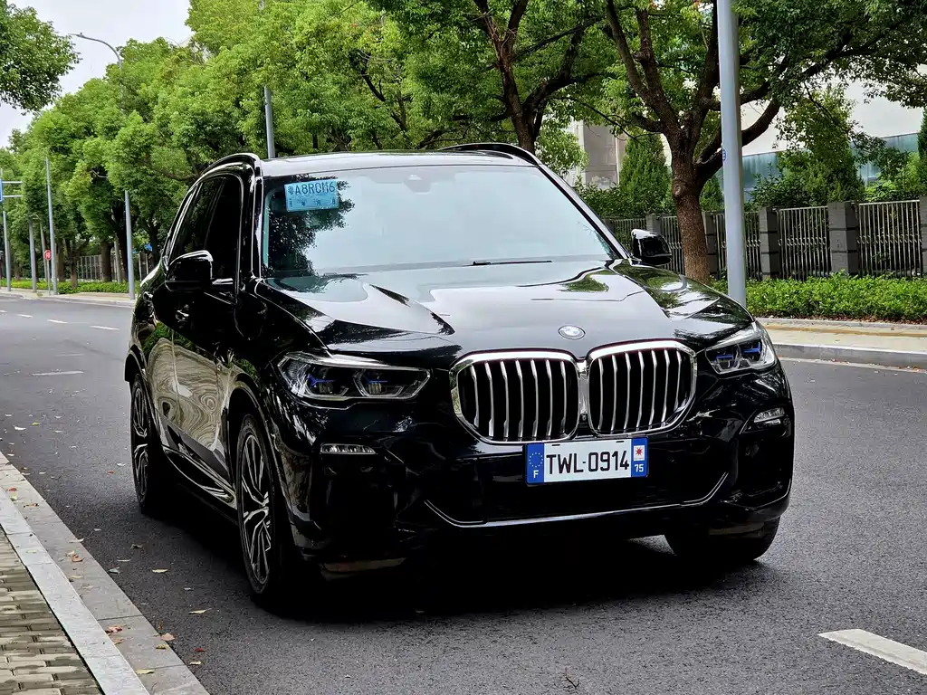BMW X5 (Import) — миниатюра 2