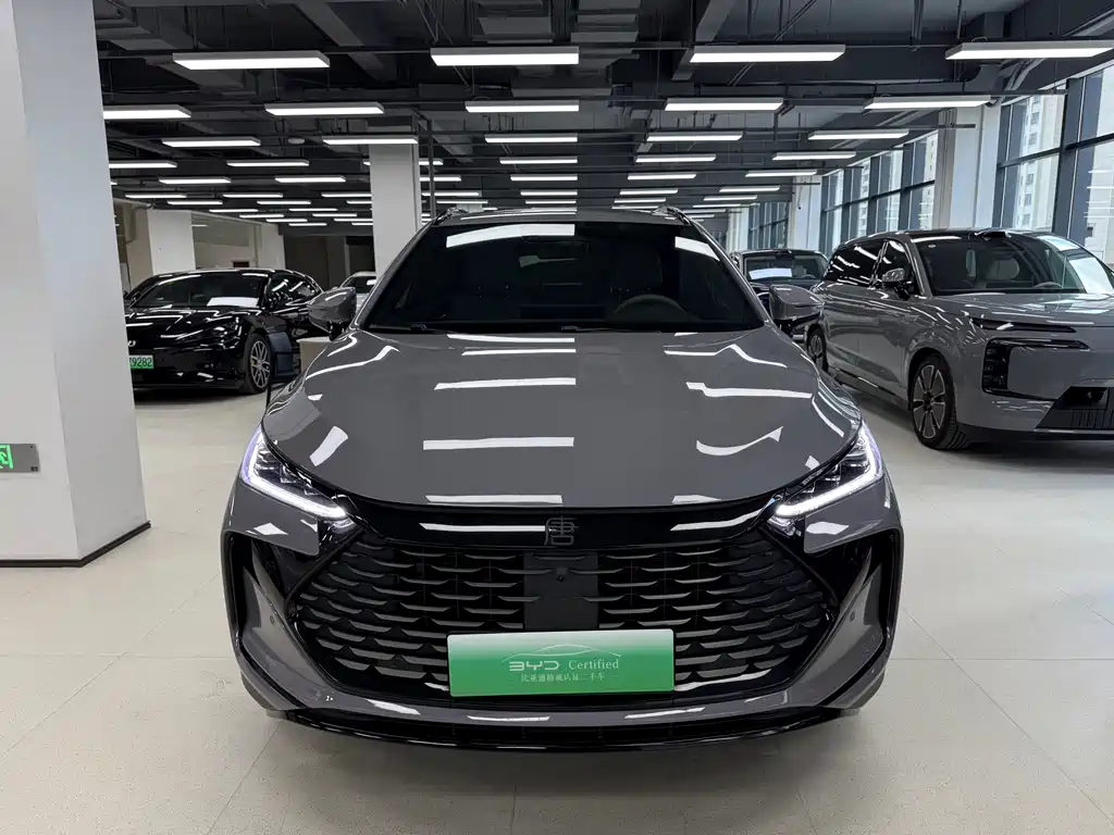BYD Tang New Energy — миниатюра 2