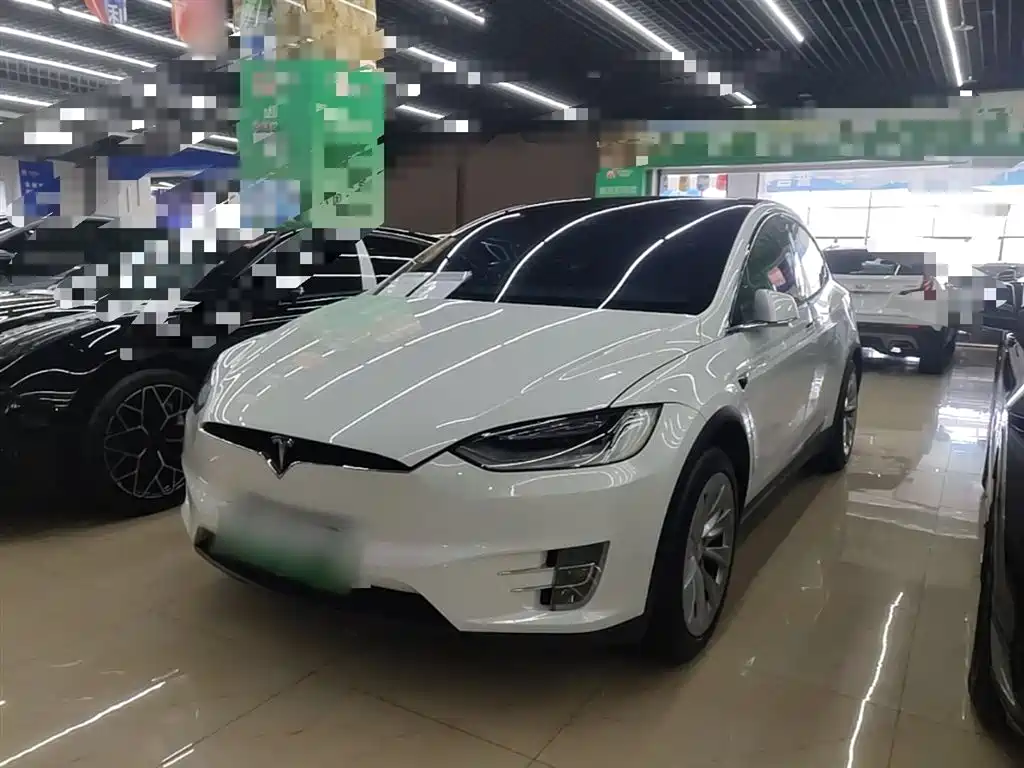 Tesla Model X 2020