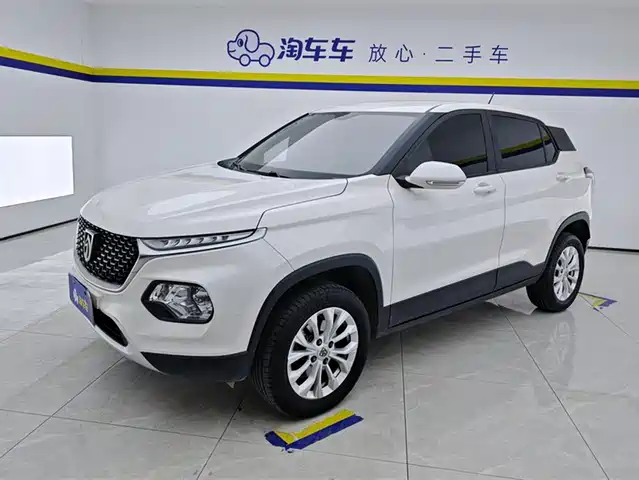 BAOJUN 510