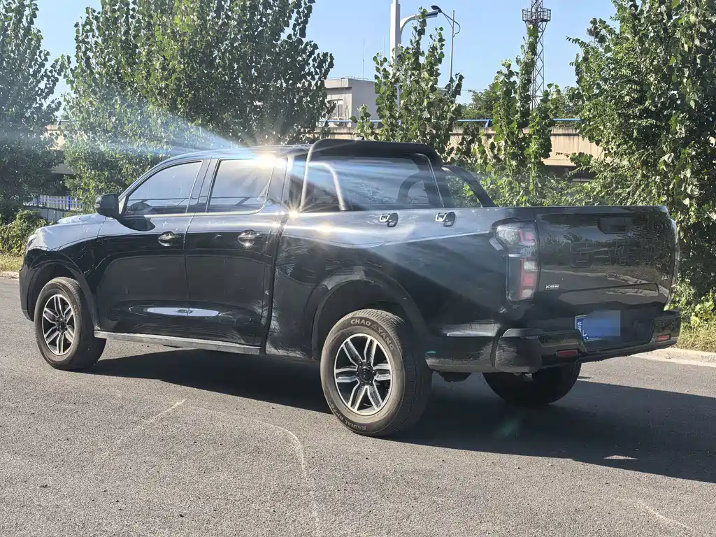Great Wall Pao — миниатюра 15
