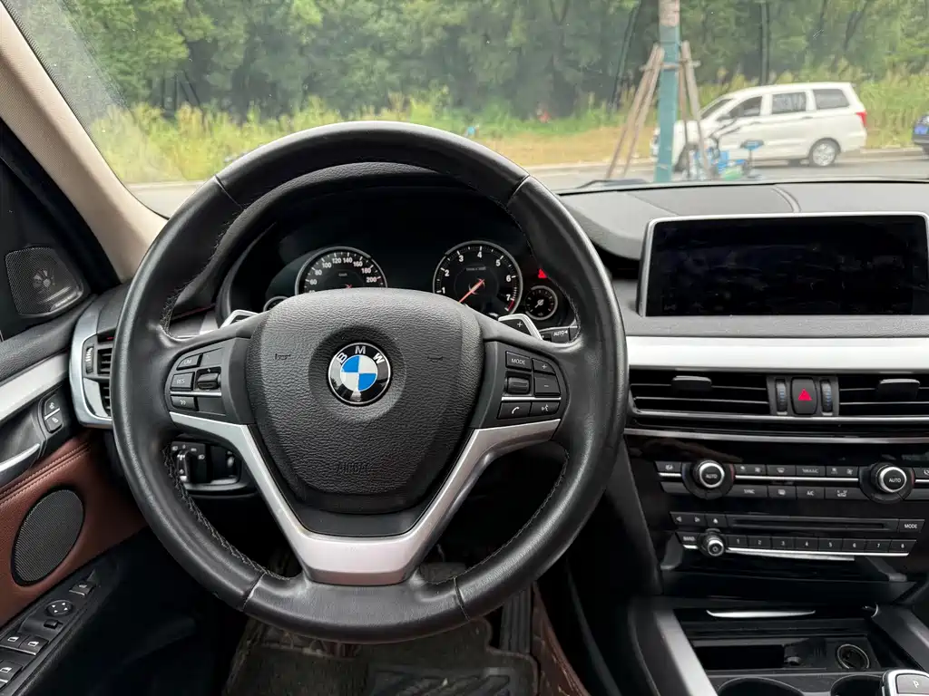 BMW X5 (Import) — миниатюра 13