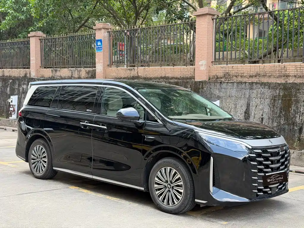 BYD Xia — миниатюра 3