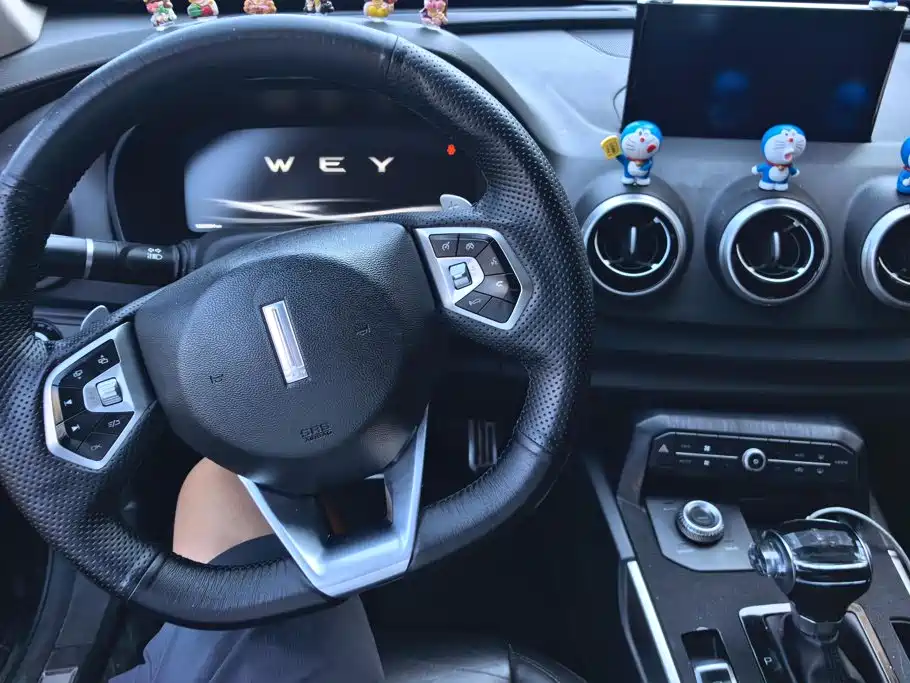 Wey Wey P8 — миниатюра 12