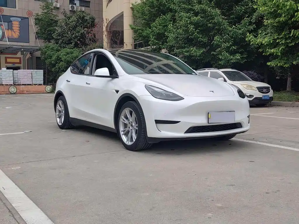 Tesla Model Y — миниатюра 5