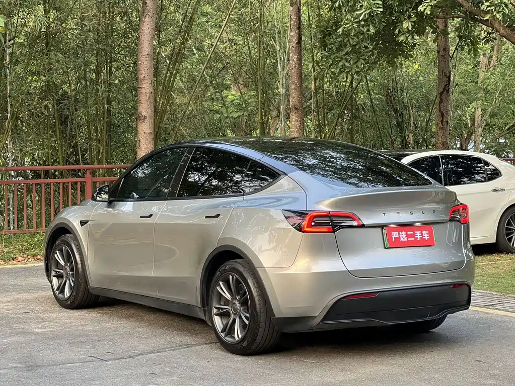 Tesla Model Y — миниатюра 9