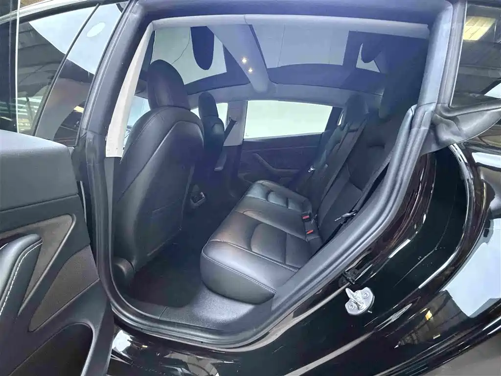 Tesla Model 3 — миниатюра 6
