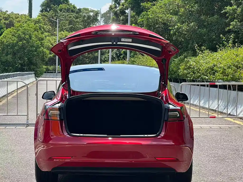 Tesla Model 3 — миниатюра 16