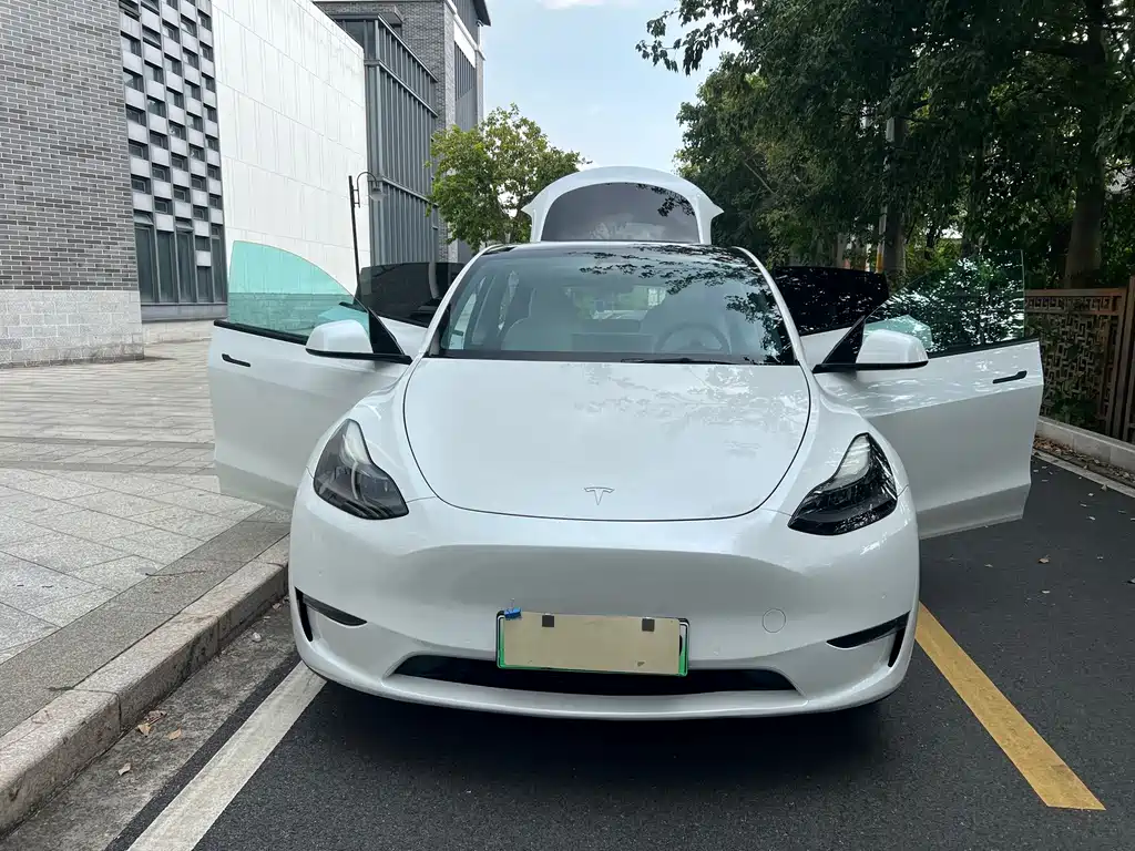 Tesla Model Y — миниатюра 25