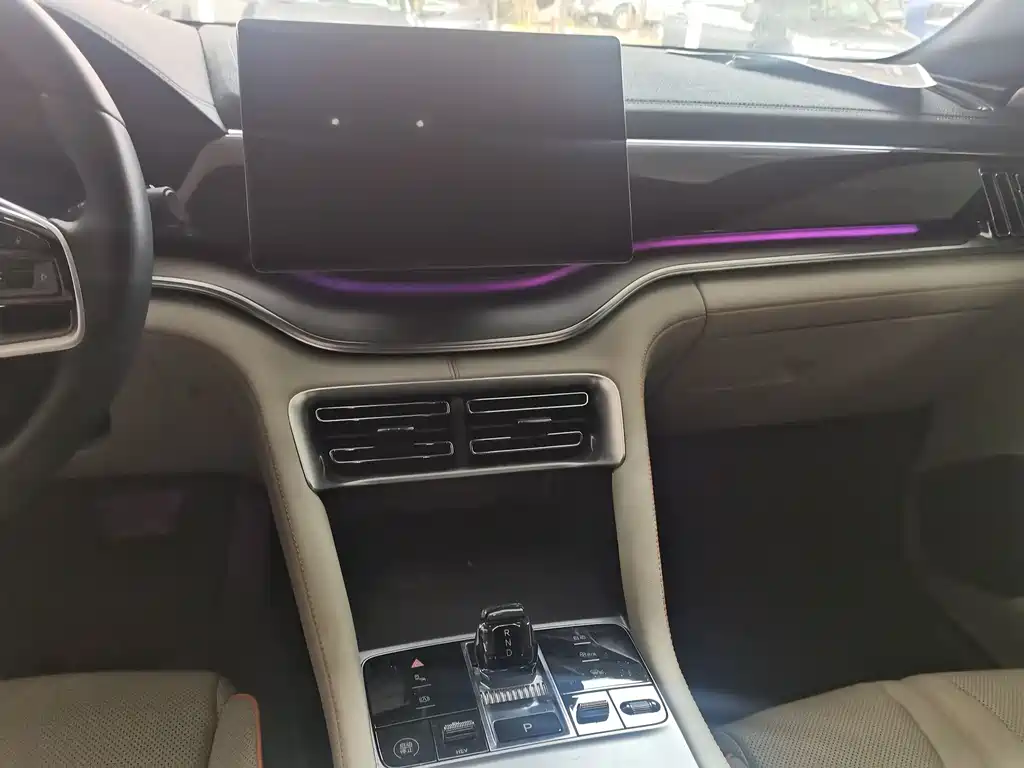 BYD SONGJIANG NEW ENERGY