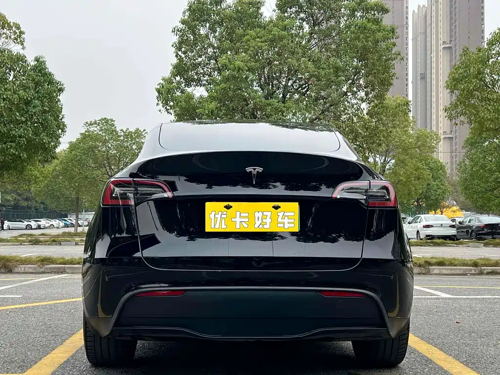 Tesla Model Y — миниатюра 5