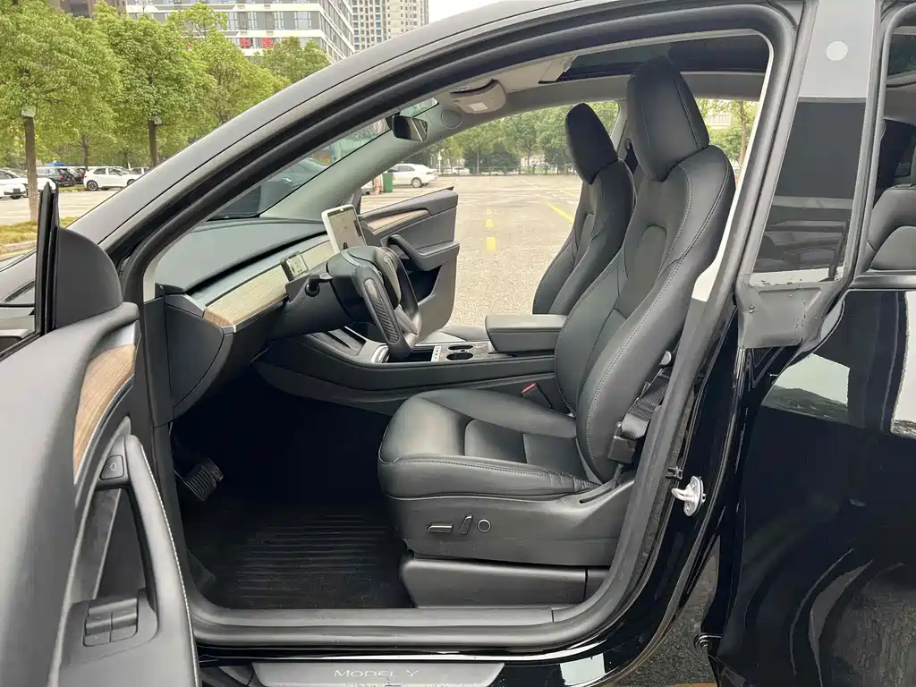 Tesla Model Y — миниатюра 10
