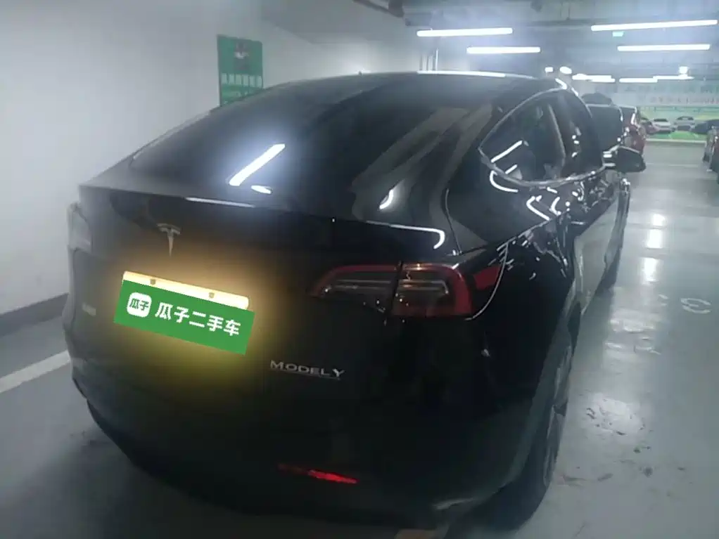 Tesla Model Y — миниатюра 7