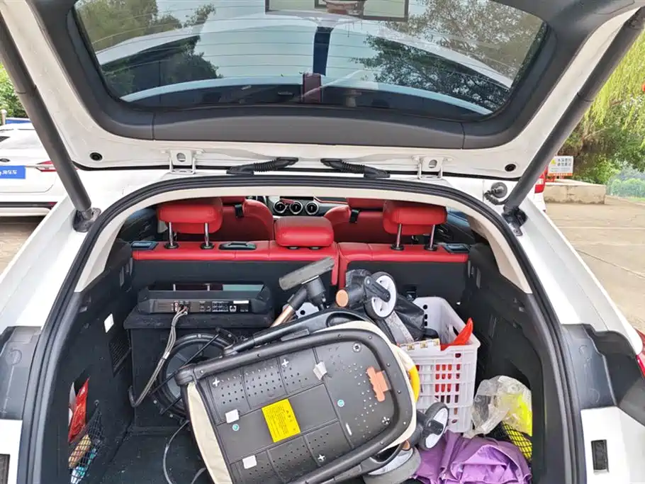 WEI PAI WEI BRAND VV5