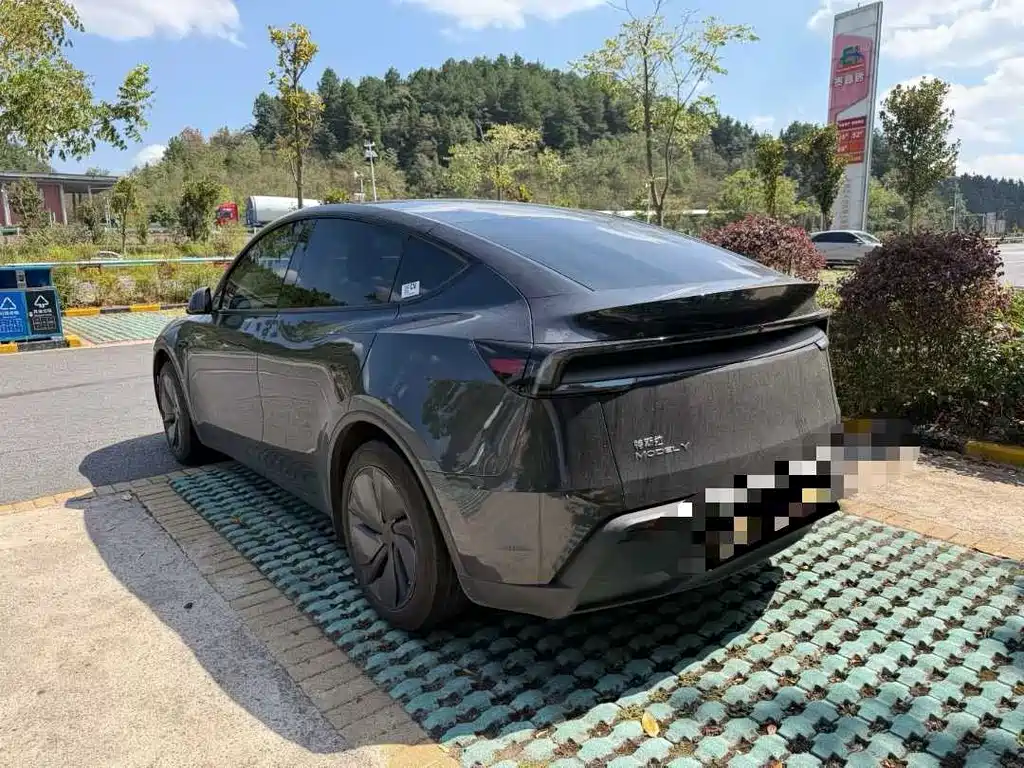 Tesla Model Y — миниатюра 3