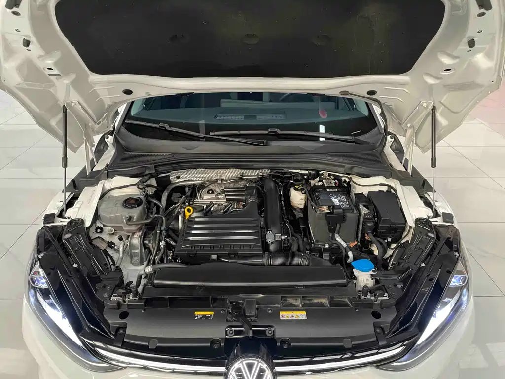 VOLKSWAGEN LINGDU