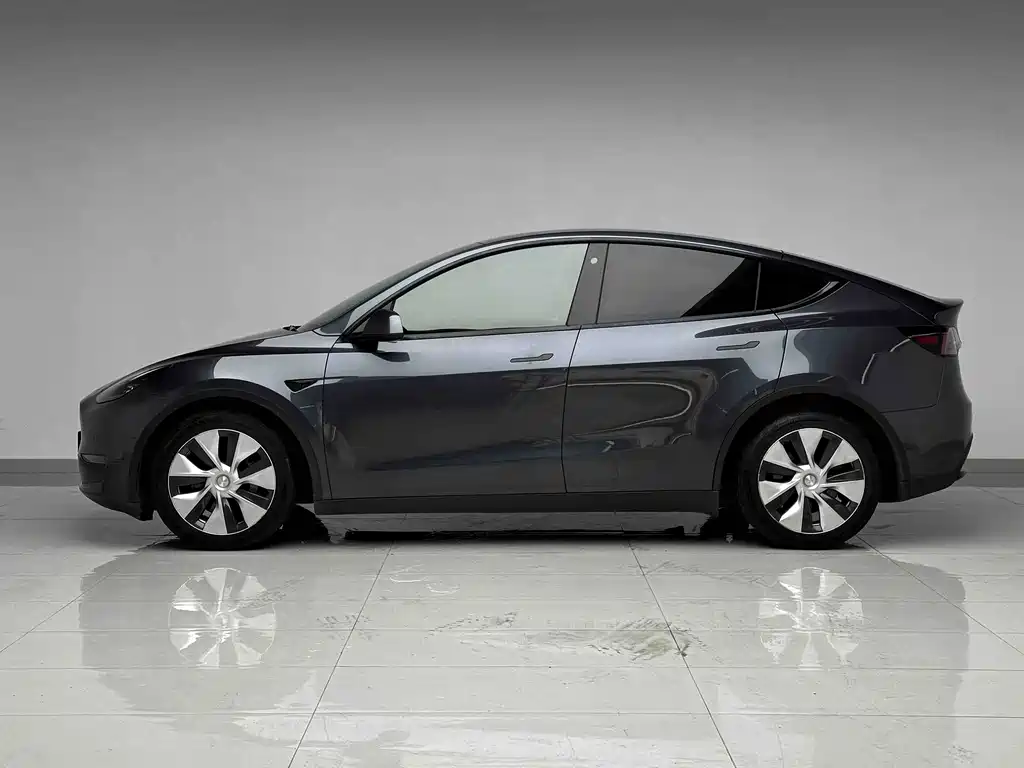 Tesla Model Y — миниатюра 7
