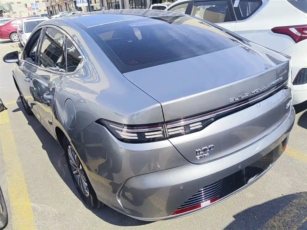 BYD Destroyer 05 2024 DM-i 55KM Luxury