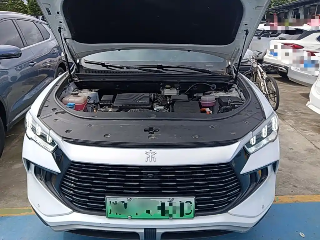 BYD Pro New Energy — миниатюра 20