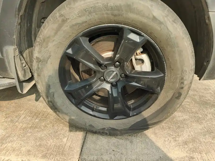 Haval Menglong New Energy — миниатюра 6