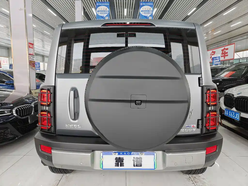 HAVAL RAPTORS NEW ENERGY