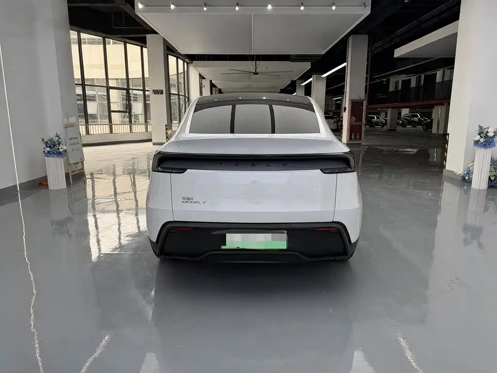Tesla Model Y — миниатюра 13