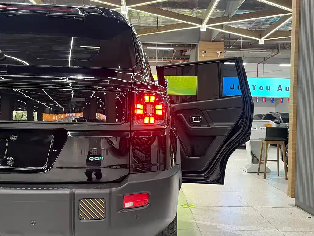 Shanhai Shanhai T1 — миниатюра 24