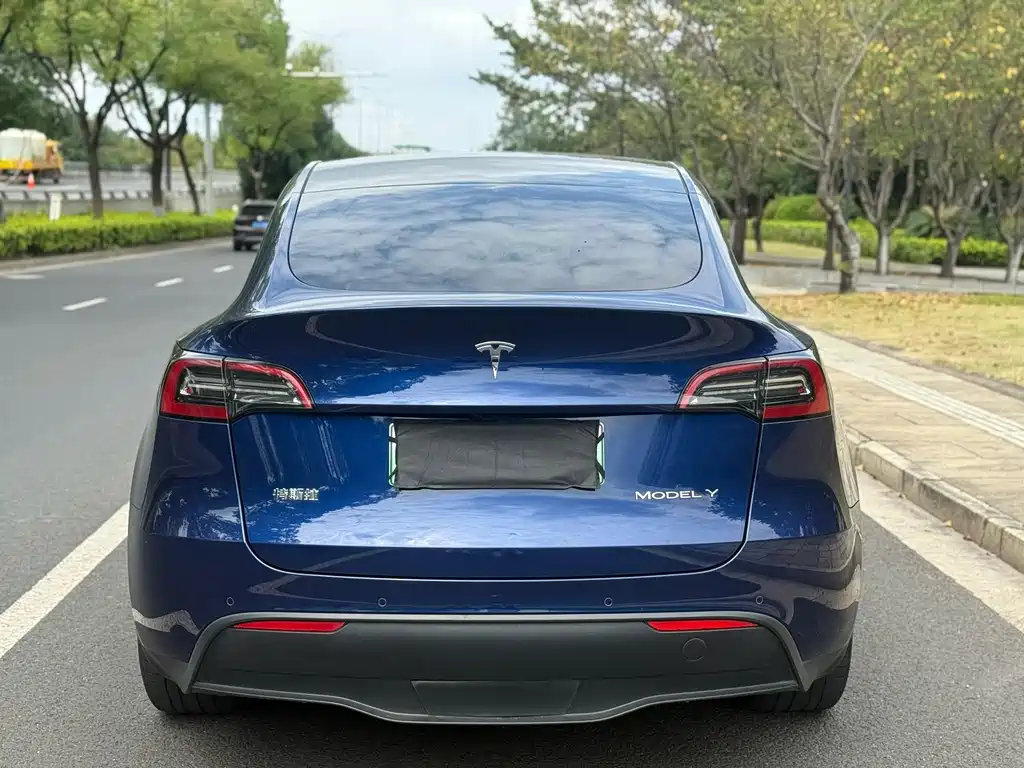 Tesla Model Y — миниатюра 8
