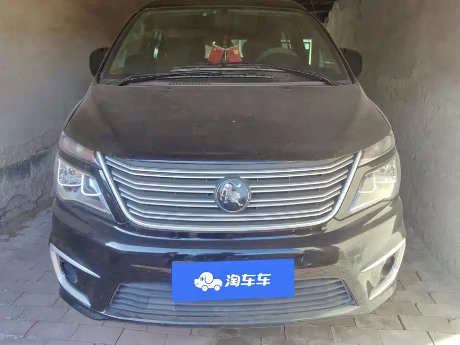 Fengxing Lingzhi — миниатюра 2