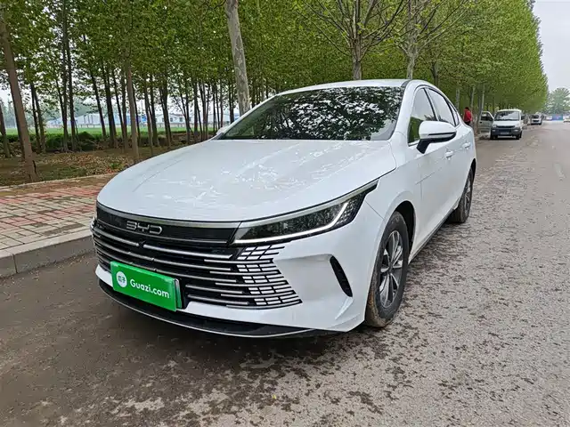 2024 BYD Destroyer