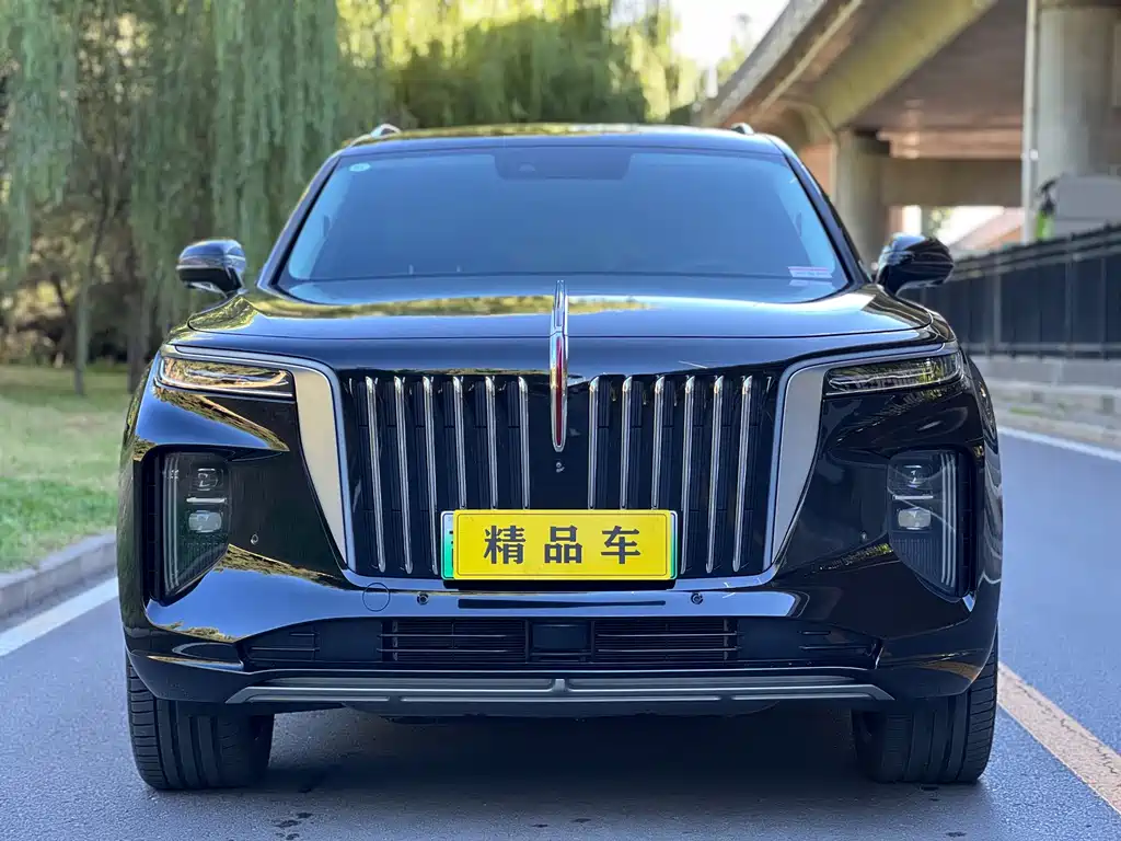 Hongqi Hongqi E-HS9 — миниатюра 2