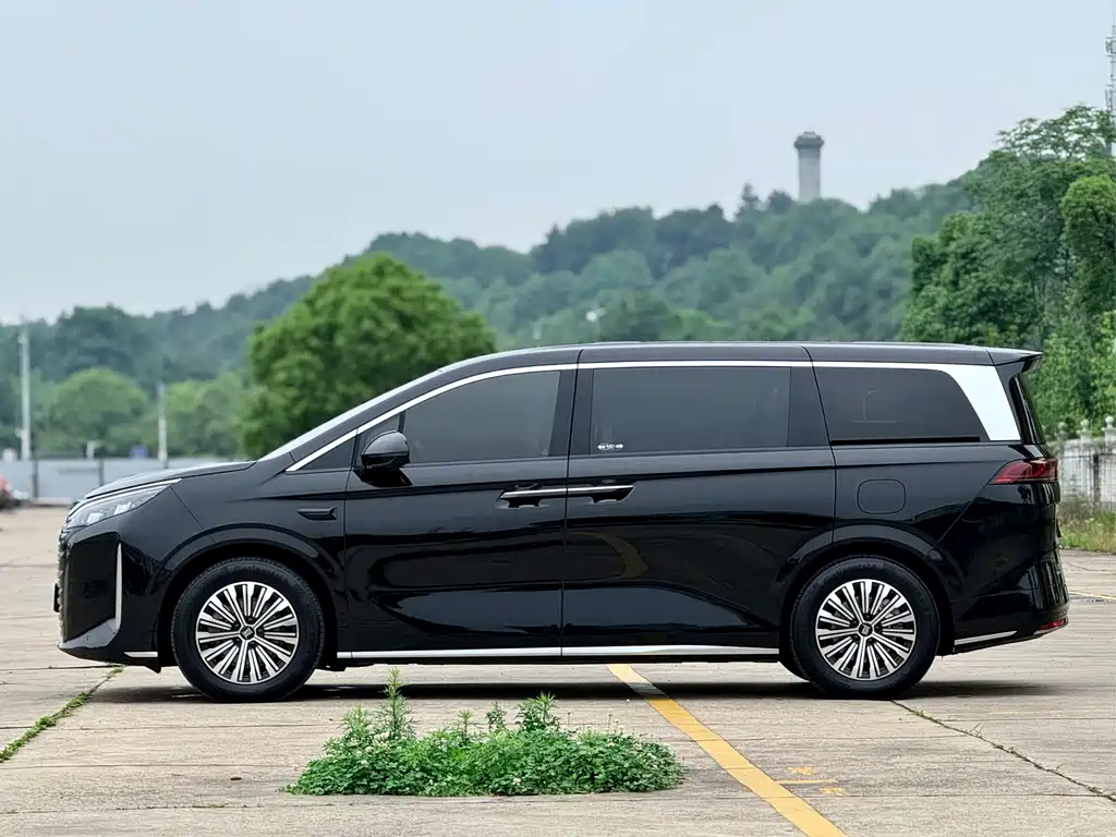 BYD Xia 2025 DM-i 1.5T 180km