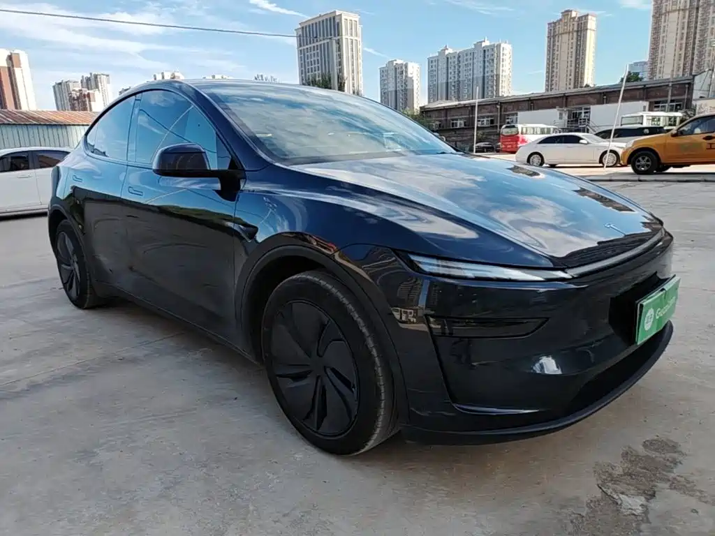 Tesla Model Y — миниатюра 4