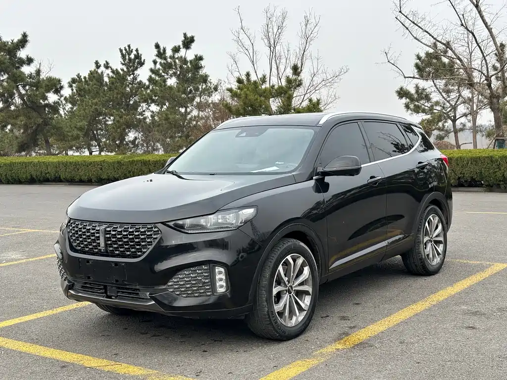 Wey VV6 2.0T 2WD Smart Guard +, фото 3