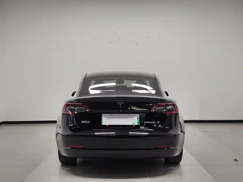 Tesla Model 3 — миниатюра 5