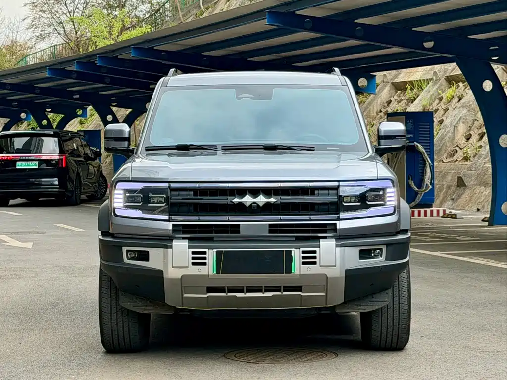 FANG CHENG BAO LEOPARD 5