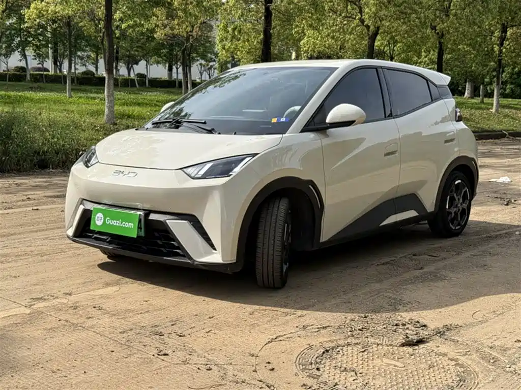Byd Seagull 2024