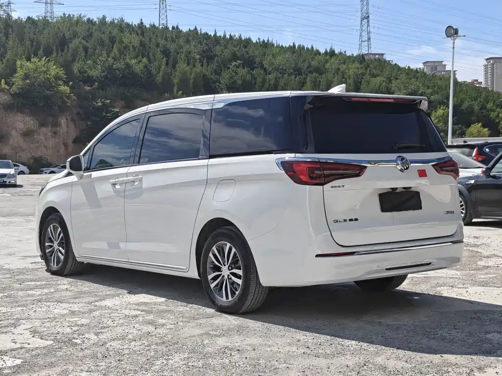 Buick GL8 — миниатюра 9