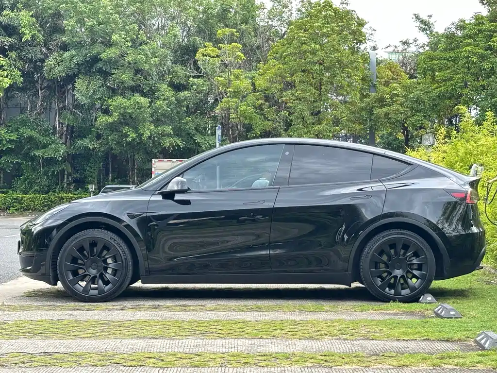 Tesla Model Y — миниатюра 12