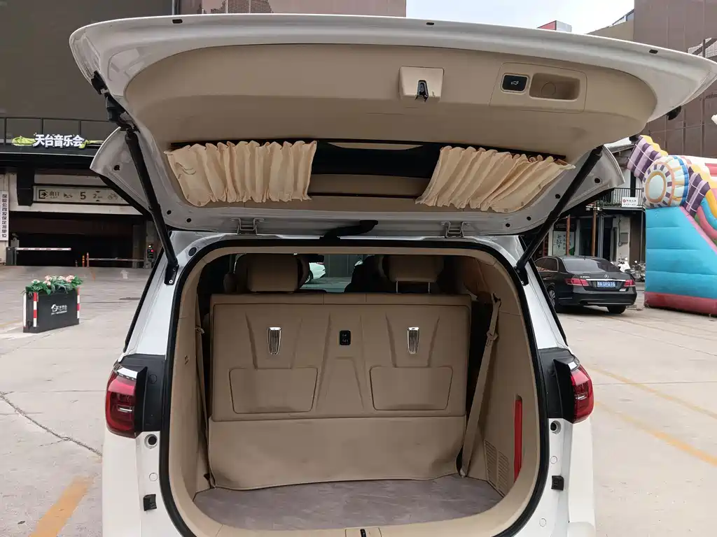 Buick GL8 — миниатюра 13